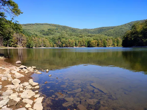 Jazero obklopené lesmi a kopcami pod modrou oblohou.