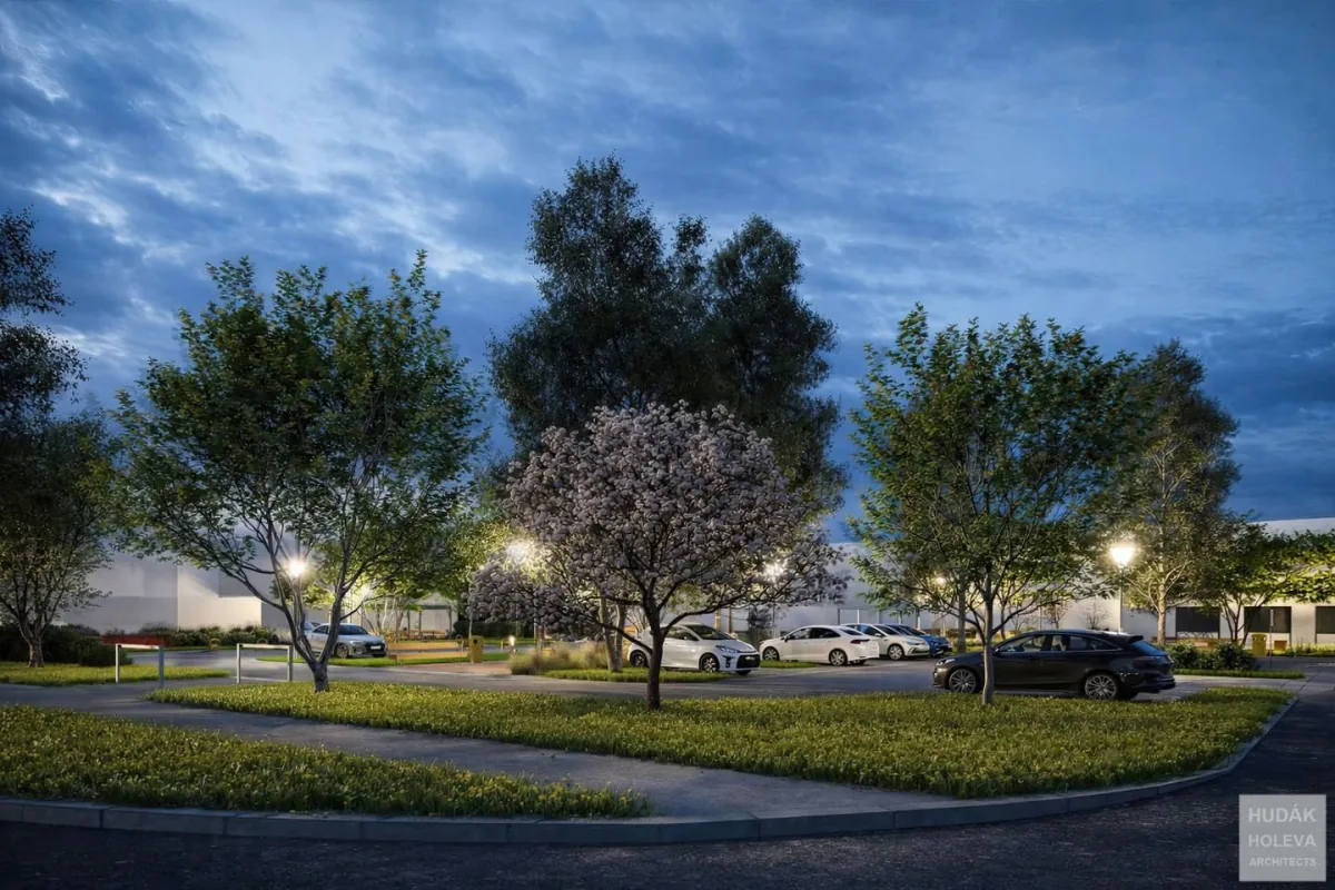 Vizualizácia nového parkoviska s výsadbou stromov pri ZŠ Okružná