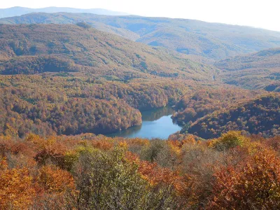 Morské oko vo Vihorlate - tajomné jazero obklopené bukovým lesom
